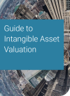 guide to intangible asset valuation