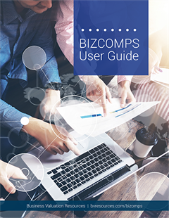 BIZCOMPS User Guide