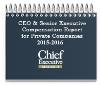 CEO and Senior Executive Compensation Report