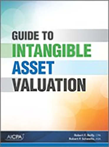Guide to Intangible Asset Valuation
