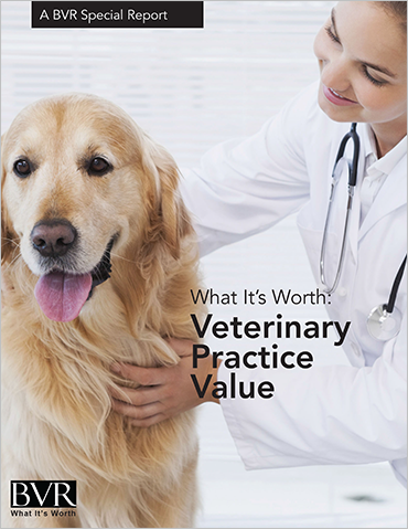 What It's Worth: Veterinary Practice Value